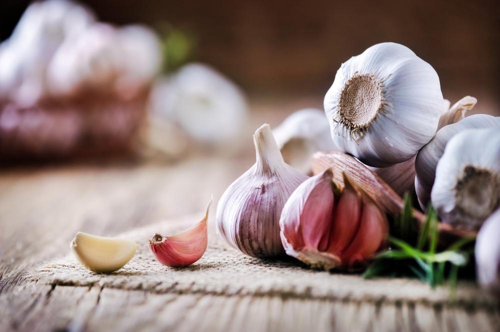Harnessing the Multitudes of Garlic