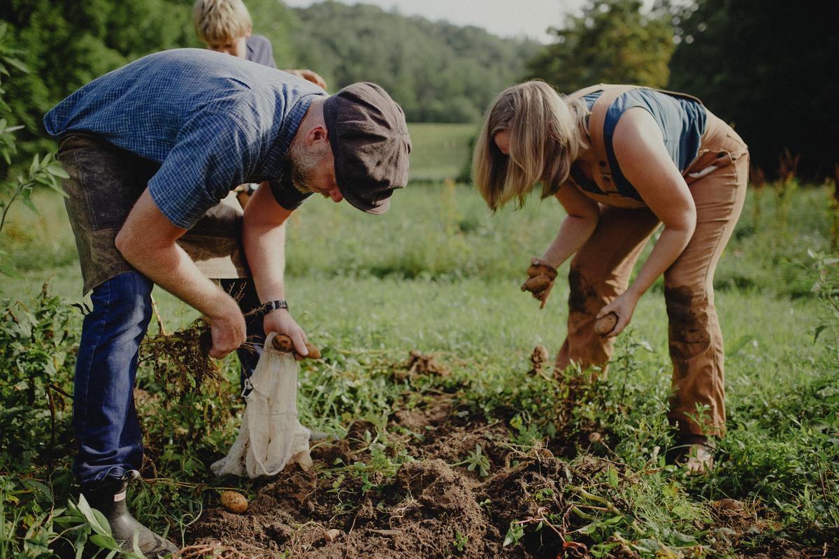 Justin Rhodes (L) and Rebekah Rhodes sell the produce from their market garden community-supported agriculture (CSA) to friends and anyone else who wants a share. (Benjamin Roberts)