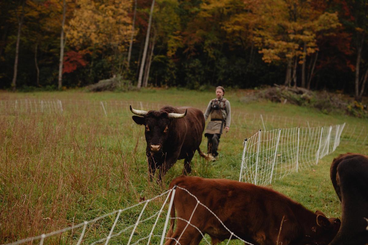 During the pandemic, Justin Rhodes continued to milk his cows, tend his garden, butcher his broiler chickens, and cultivate his homesteading lifestyle. (Benjamin Roberts)