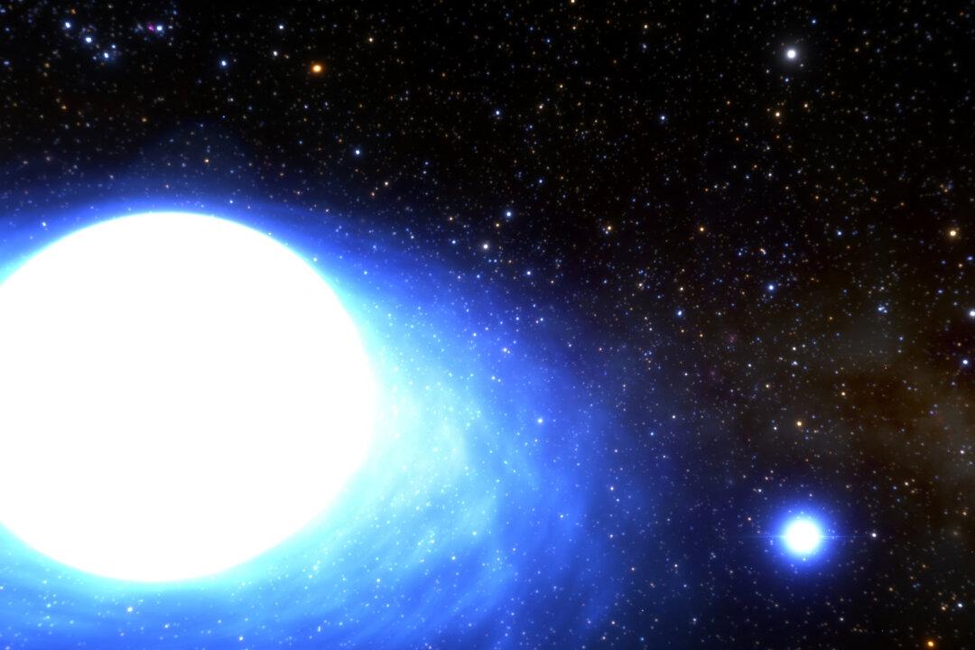 Astronomers Document a Not-so-Super Supernova in the Milky Way