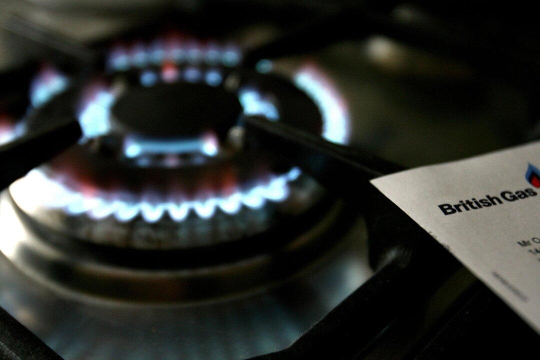 British Energy Suppliers Ordered to Suspend Prepayment Meter Installations