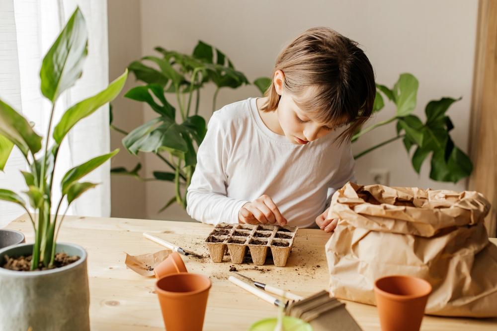 Home Vegetable Gardens: Grow Your Own Food