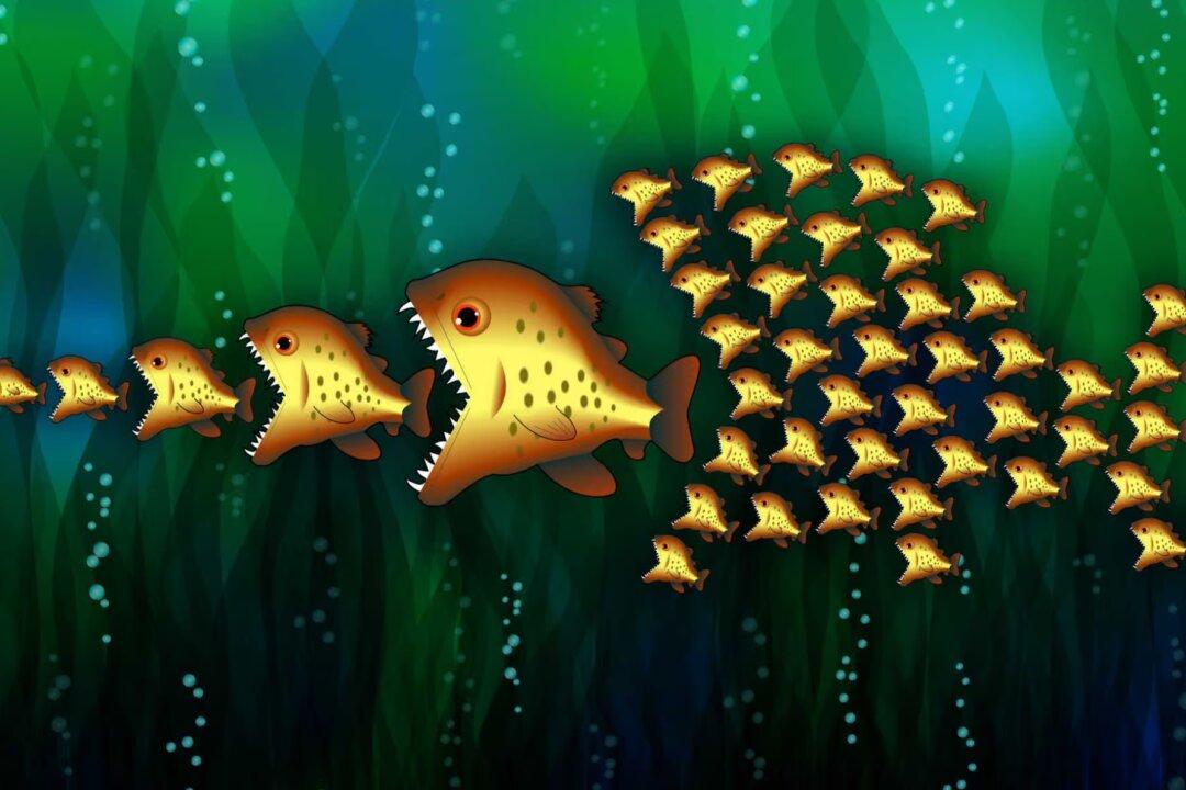 Eugenics, Then and Now