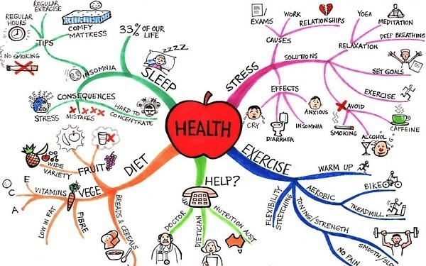 Stress: The Silent Killer From an Army Dependent’s Perspective