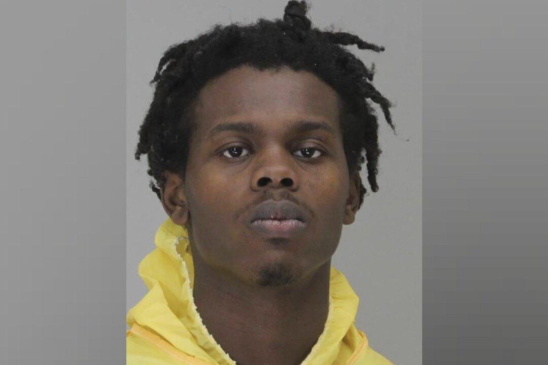 Man Arrested, but Motive Unknown in Dallas Zoo Monkey Theft