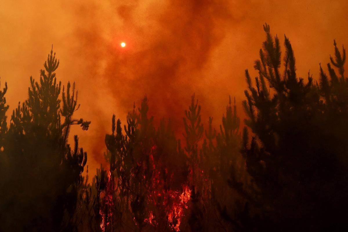 At Least 23 Dead in Chile as Dozens of Wildfires Torch Forests
