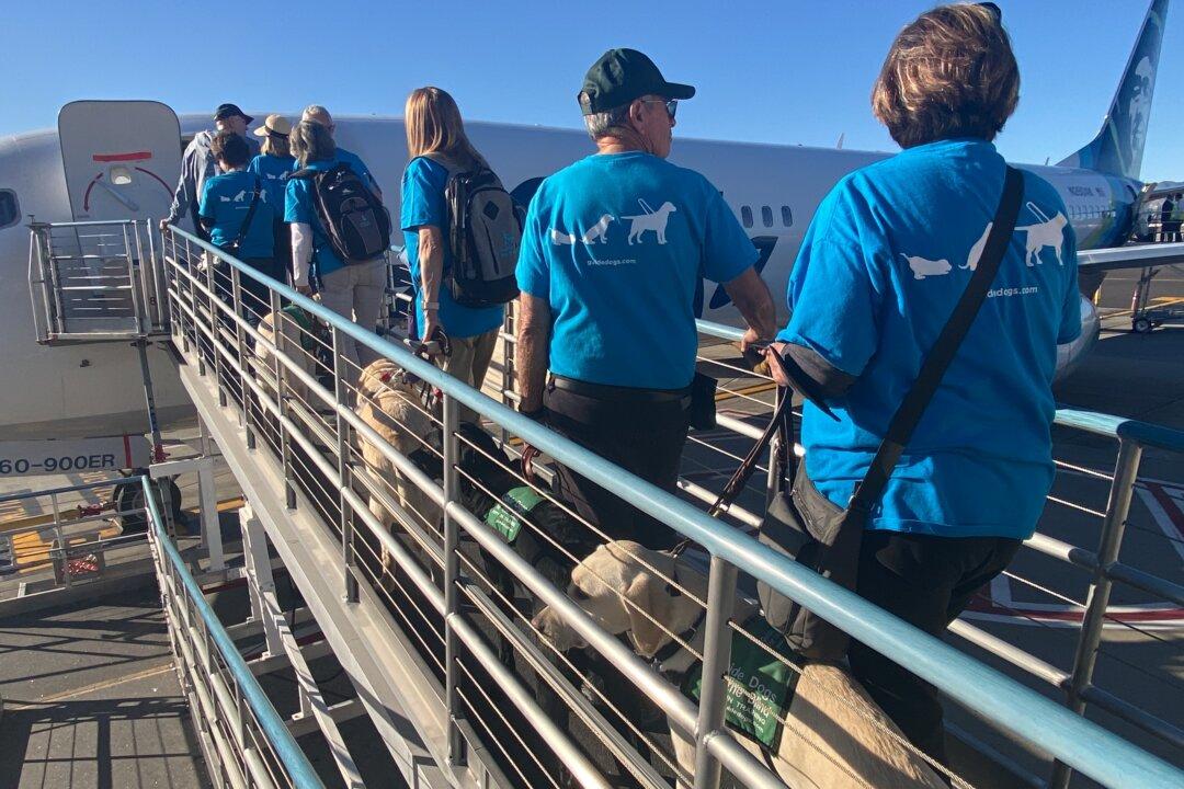 25 Puppies Learn to Board Flight at Burbank Airport, Prepare for Guide Dog Career