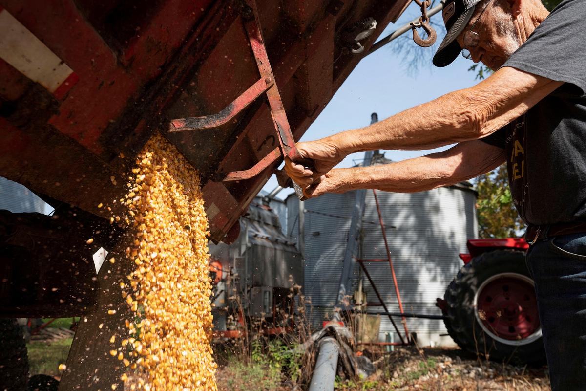 OSHA Investigation Into Death of Georgia Grain Silo Worker Finds Multiple Safety Violations
