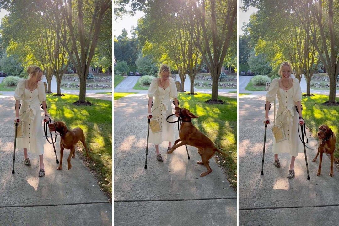 VIDEO: Service Dog Jumps for Joy When He Sees Disabled Owner Finally Walk Again for First Time in Years