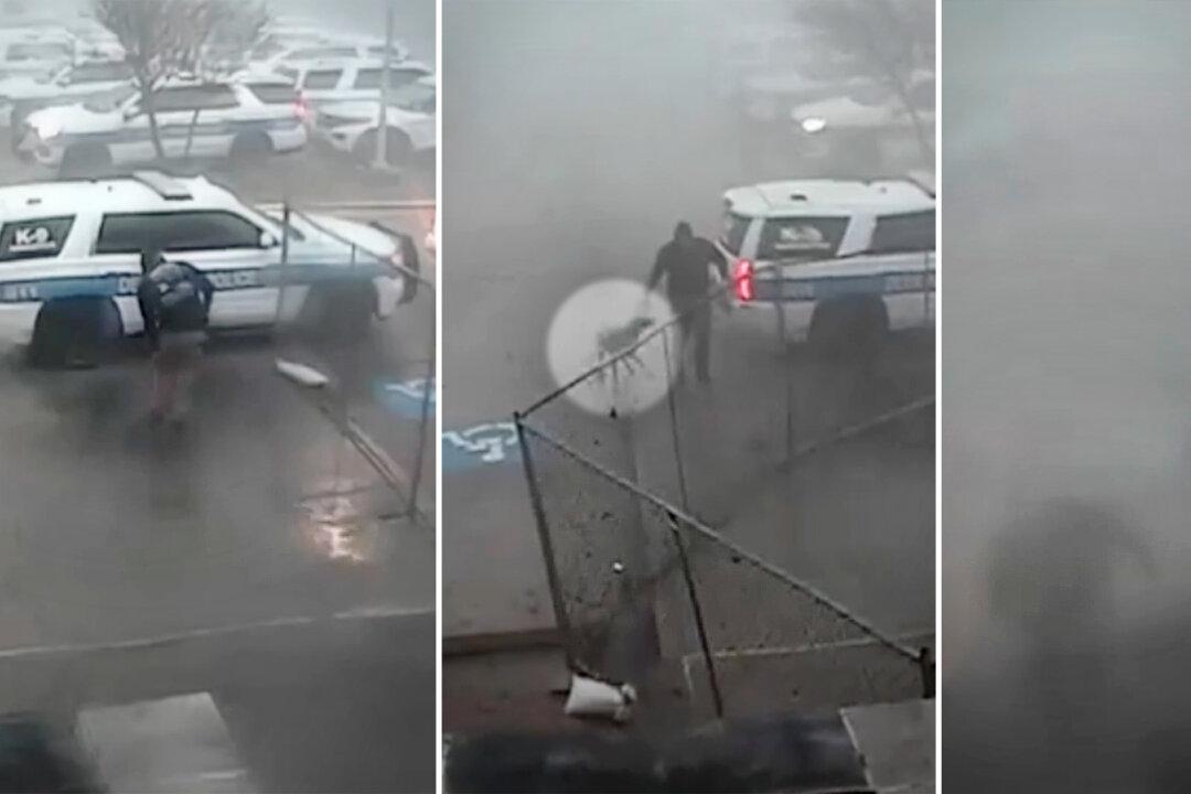 VIDEO: Police Officer Rushes Into Raging Texas Tornado to Rescue K9 Partner Trapped in Police Cruiser