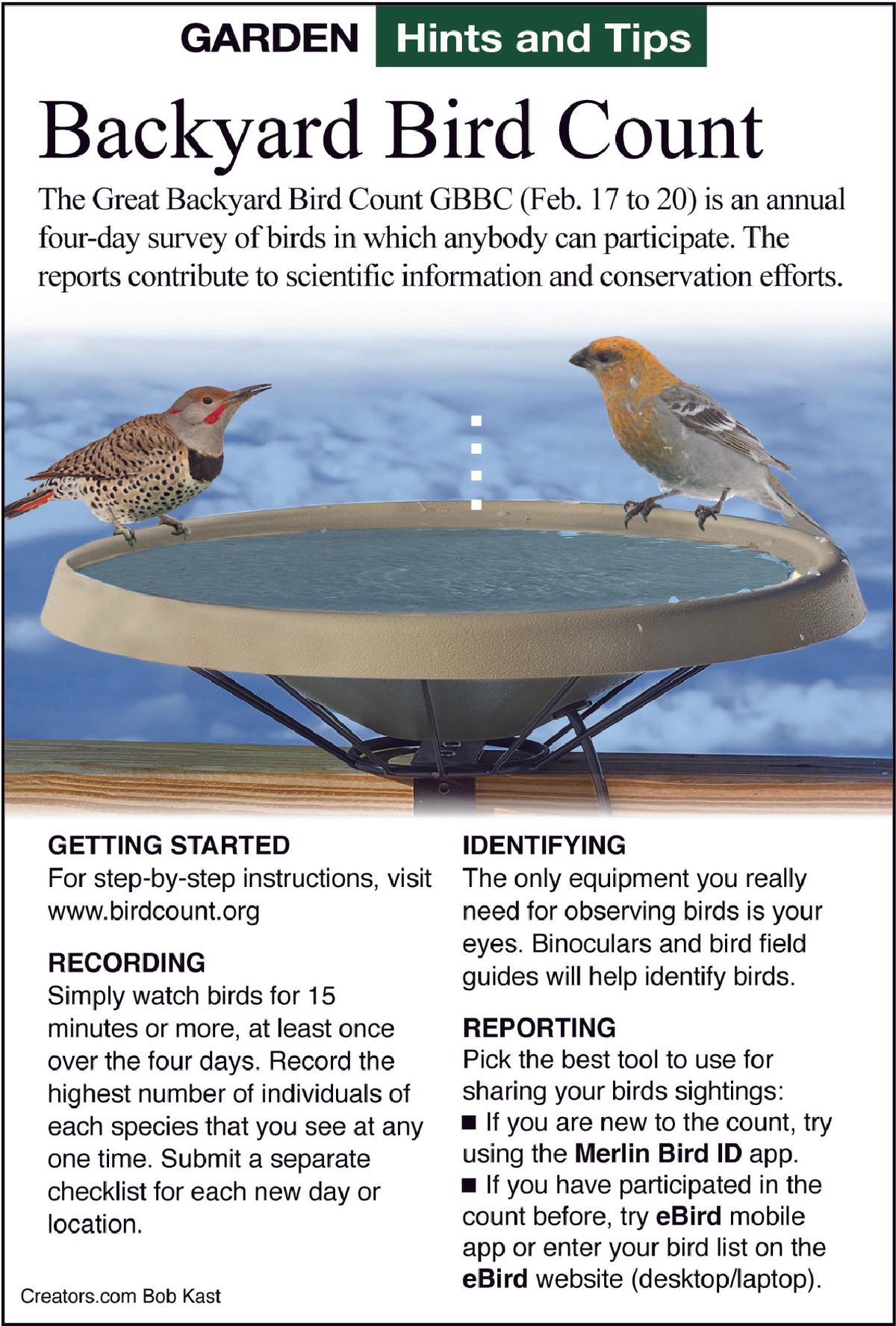 backyard bird count tip sheet