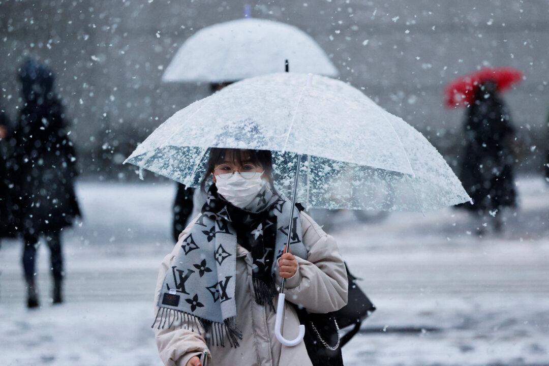 Heavy Snow in Japan Disrupts Flights and Trains, Closes Roads