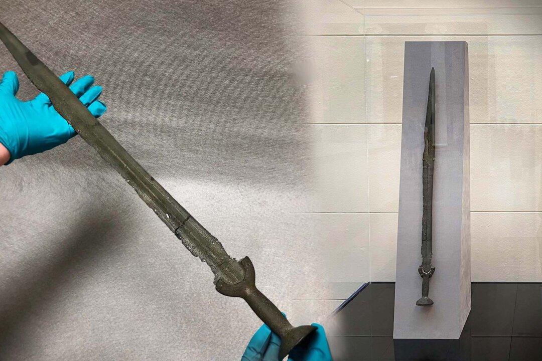 Sword Discovered in Danube River Deemed to Be Authentic Bronze Age Blade 3,000 Years Old by Museum