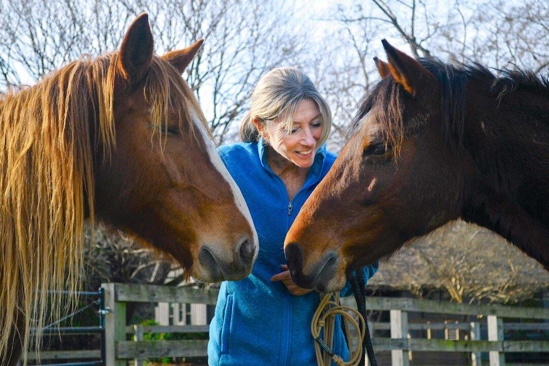 Once Saved by Wild Mustangs, This Alabama Woman Is on a Mission to Return the Favor
