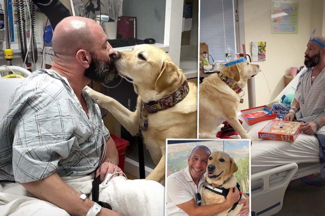 VIDEO: Loyal Dog Who Can ‘Read People’ Lifts Up Owner Hospitalized With Serious Heart Condition