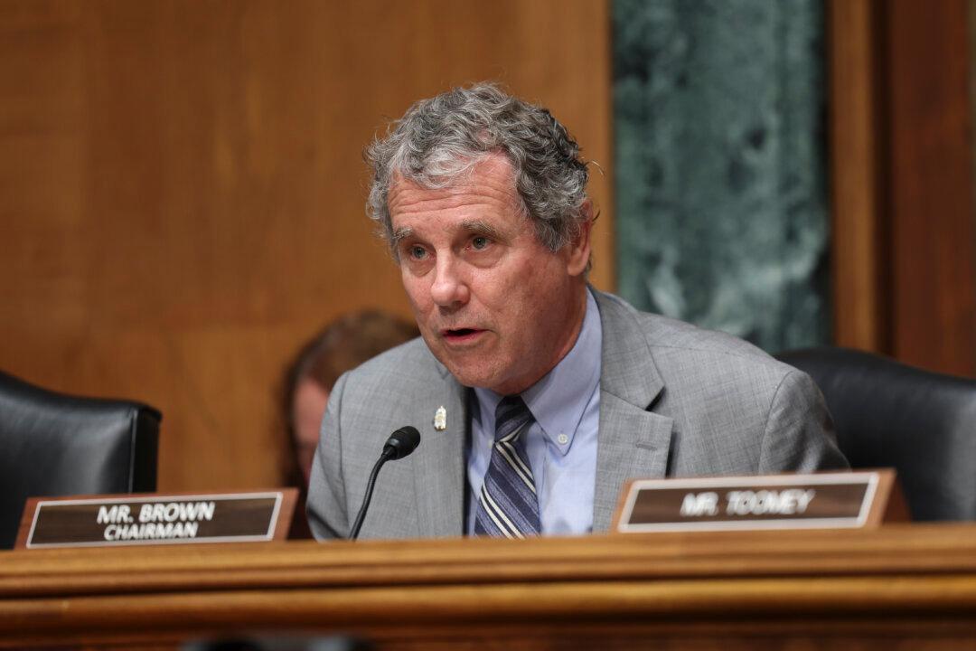 Senators Call for Increased Safeguards Against Financial Scams