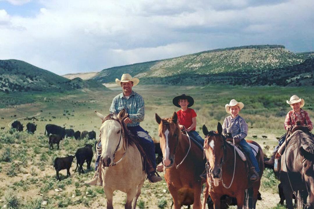 Ranchers Since 1878: Family With Over 100,000 Acres Say They'll Pass It on Intact to One of the Kids