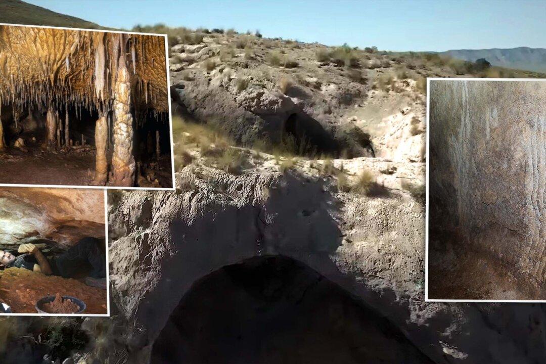 Spelunker Stumbles on Cave Untouched for Thousands of Years, Full of Prehistoric Cave Bears Marks