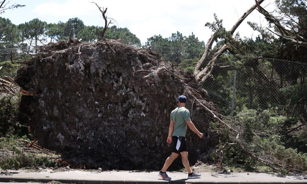 New Zealand Considering Forcibly Relocating Families in the Name of Climate Change