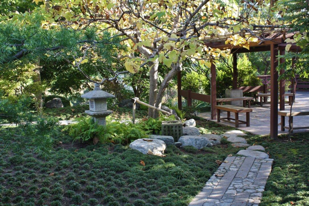 Taking the Kids: To San Diego