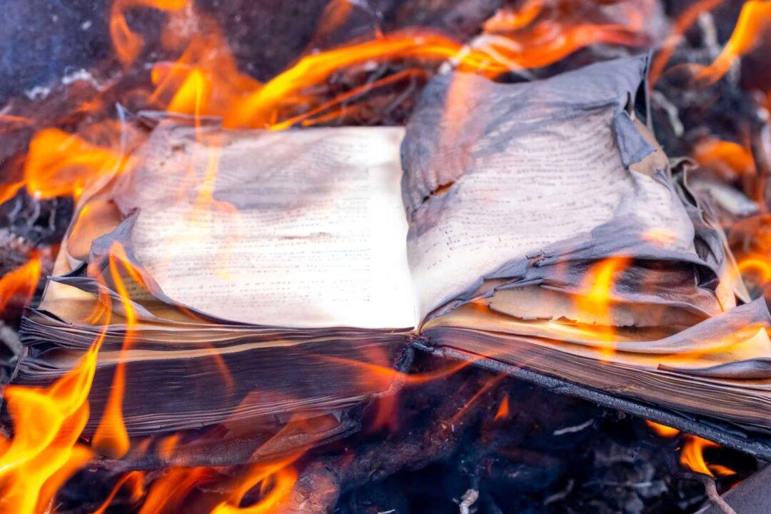 My Book Is Being Burned
