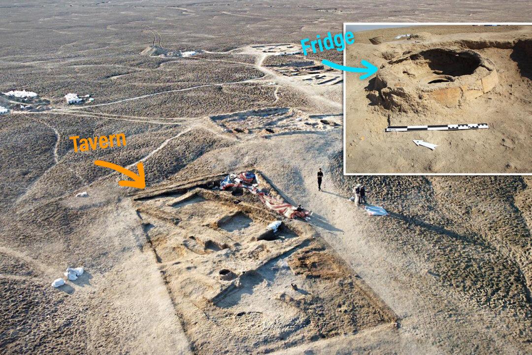 Researchers Unearth Ancient ‘Tavern’ in Iraq—With 5,000-Year-Old Fridge, Oven, Containers With Food