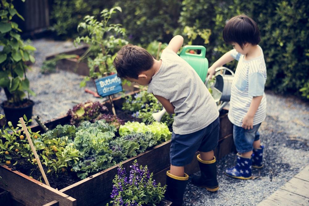 Friends That Garden Together, Grow Together: How to Start or Join a Community Garden