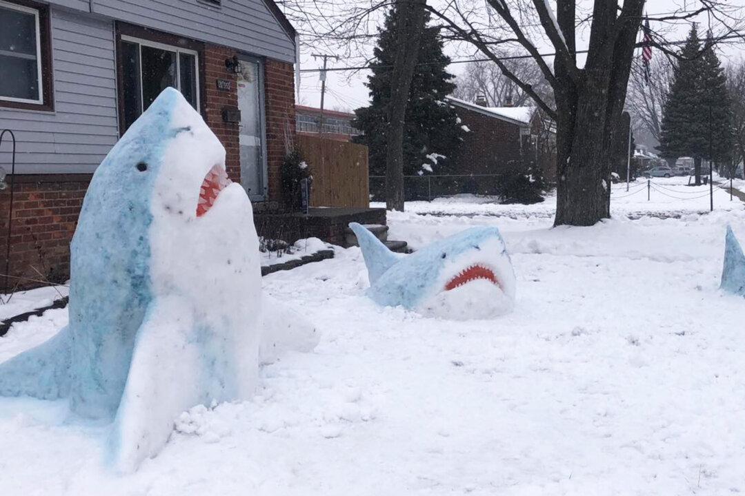 Michigan Art Teacher Creates Incredible Front Yard ‘Snow Sharks’ That Go Viral (Photos)