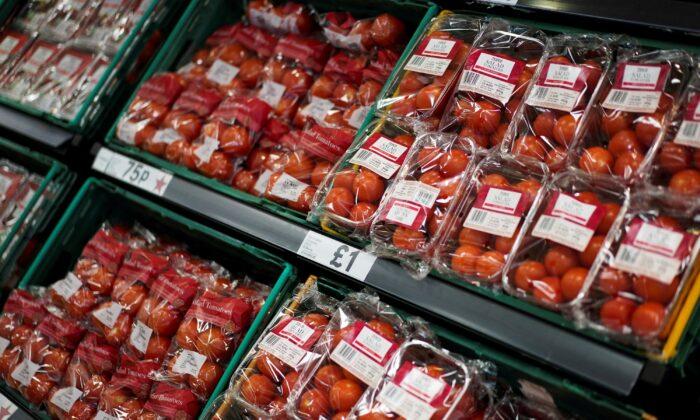 Britain Facing Tomatoes Shortage After Overseas Harvests Disrupted