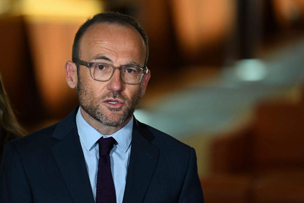 Greens Call for Essential Services to Be Returned to Government Ownership