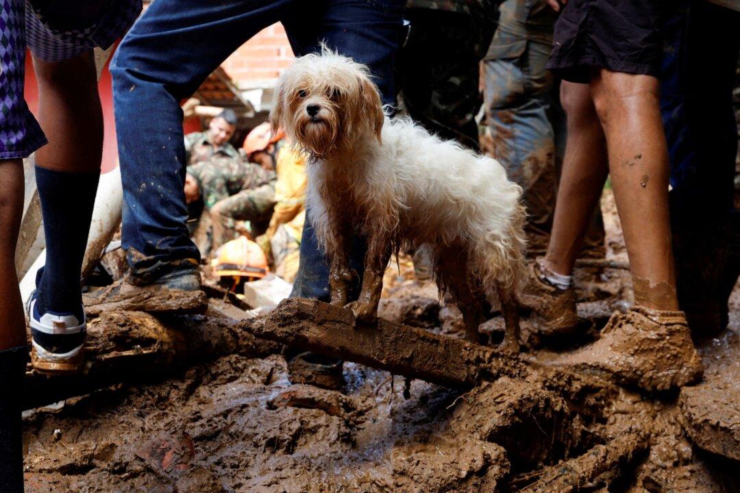 Death Toll From Brazil Downpours Hits 48, Dozens Still Missing