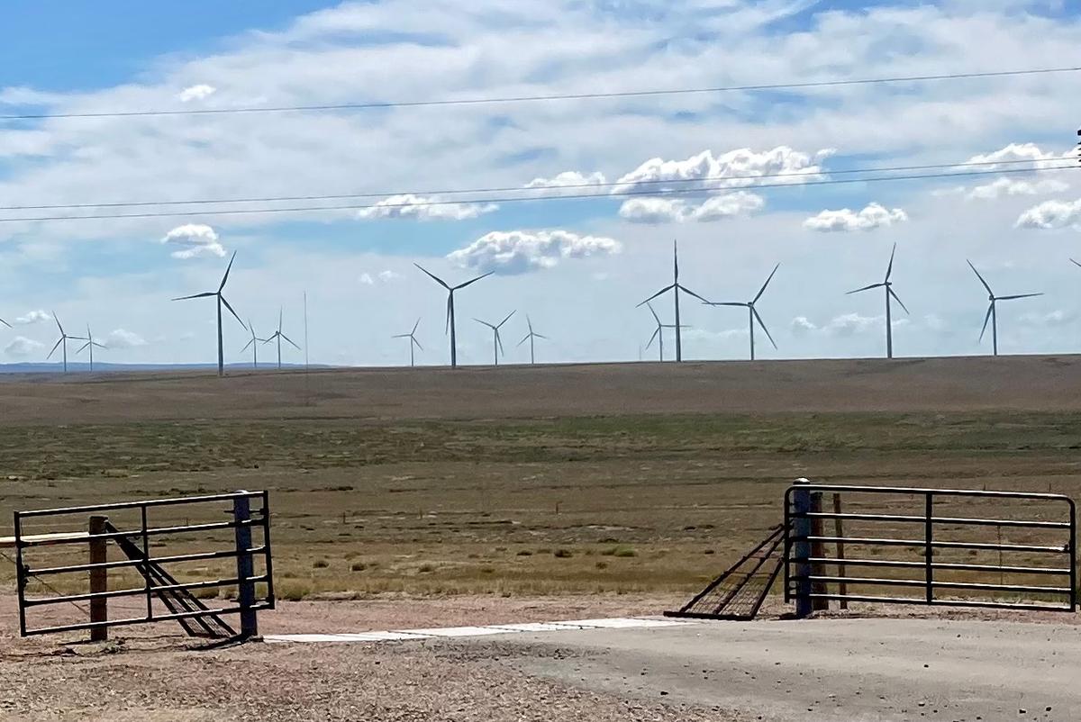 IN-DEPTH: ‘Beyond Belief’: Industrial Wind Developments Could Threaten Fragile Desert Ecosystem