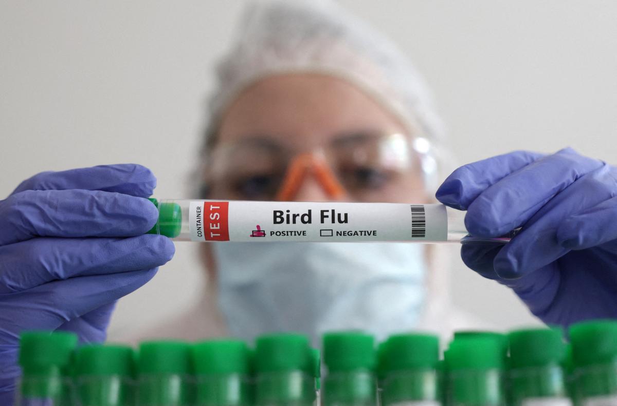 Human Case of Bird Flu in Australia Was Sent to the WHO for Detection