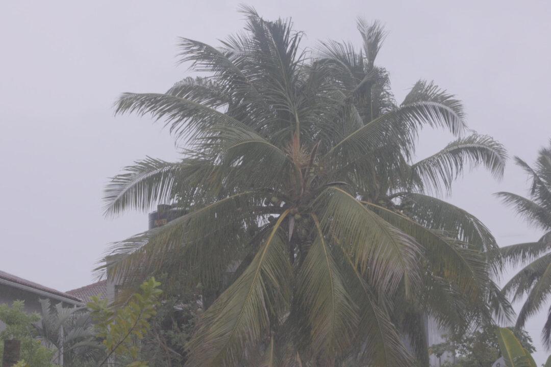 Mozambicans Seek Shelter as Storm Freddy Makes Landfall