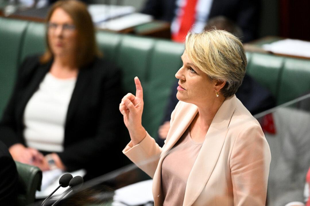 Greens Call for More Government Transparency