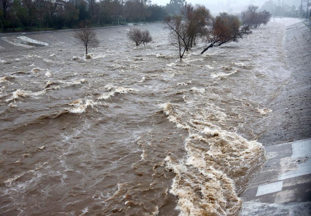 4 Homeless People, 5 Animals Rescued From Flood Near Sepulveda Basin