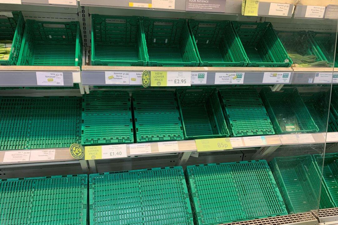 DEFRA’s Net Zero Policies Contributing to Fruit & Vegetable Shortages, Warn British Farmers