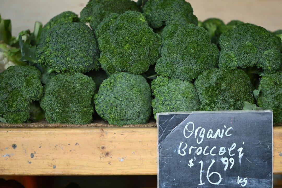 Who Do We Target in the Inflation Blame Game?