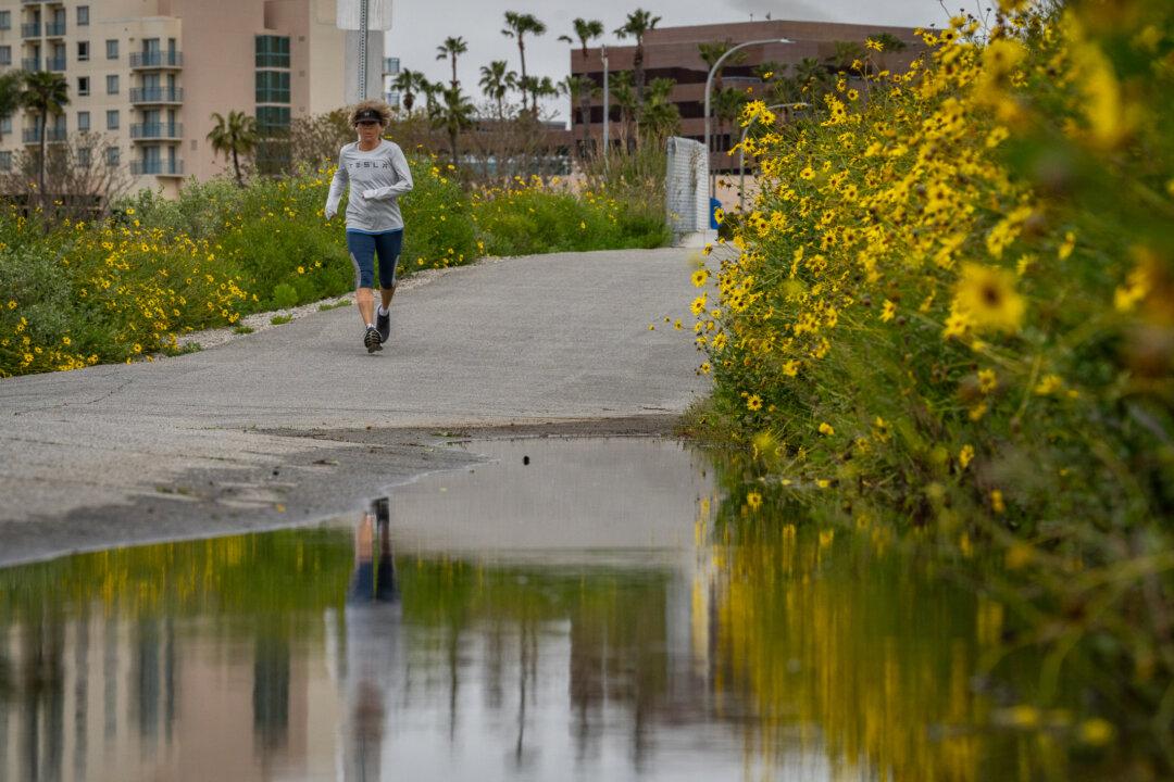 Parts of California Exit Drought After Recent Rain, Snow