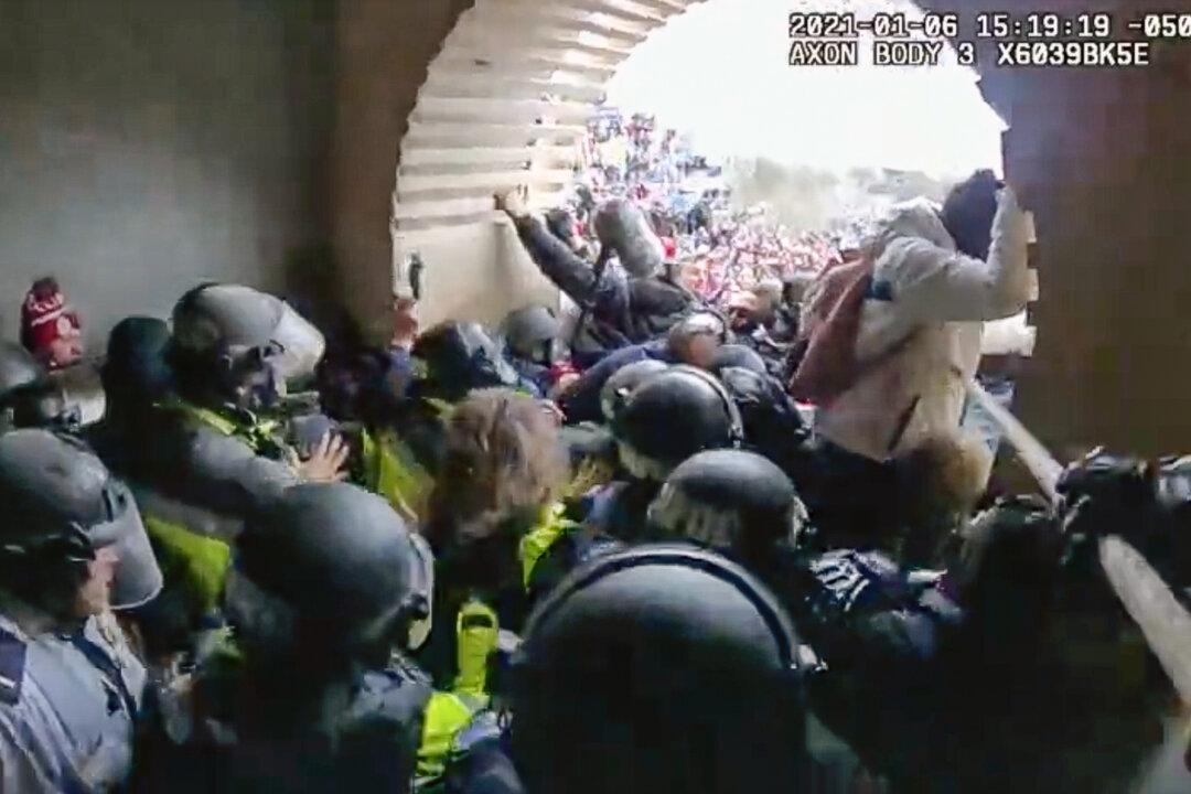DC Officer Who Struck Protesters With Flagpole on Jan. 6 Bragged ‘That Was My Best Weapon’