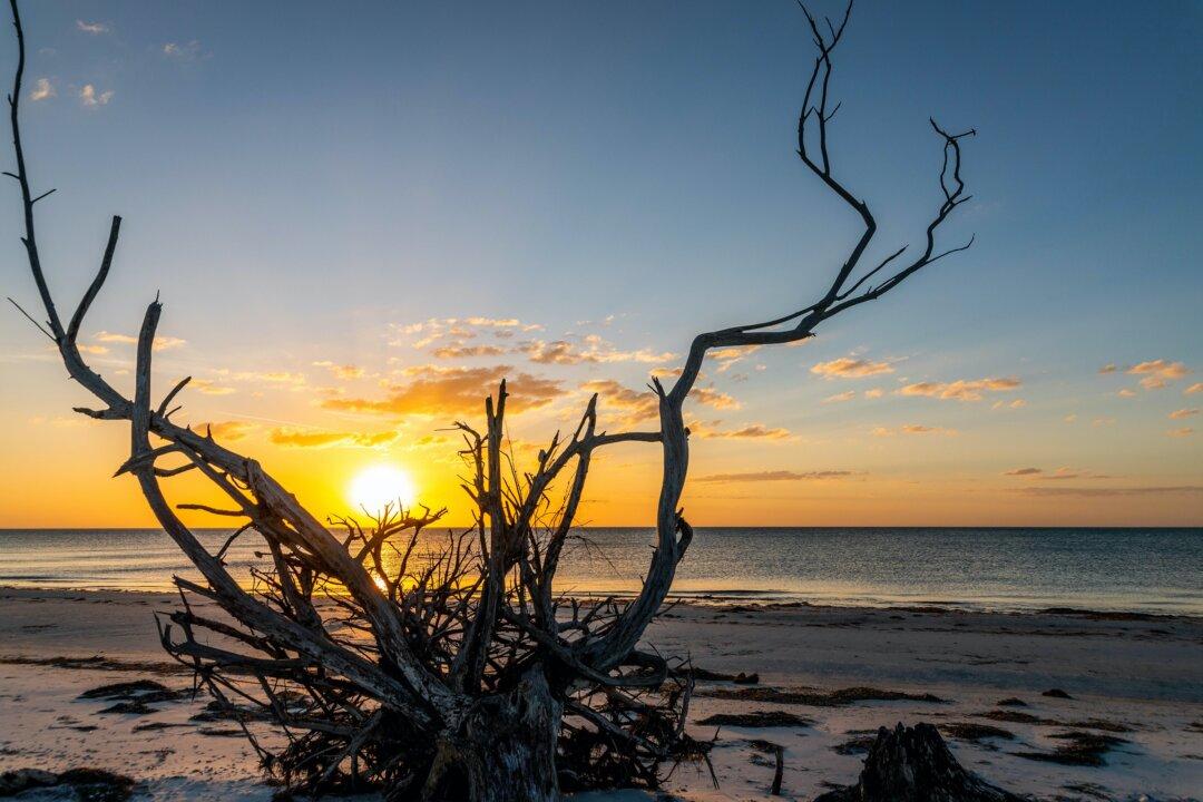 Capture the Essence of Old Florida in Pasco County