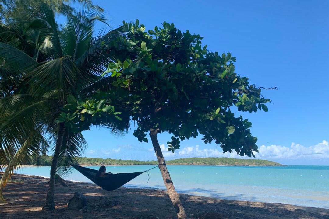 Looking for a Tropical Family Getaway? Puerto Rico Pairs an International Feel With Domestic Convenience