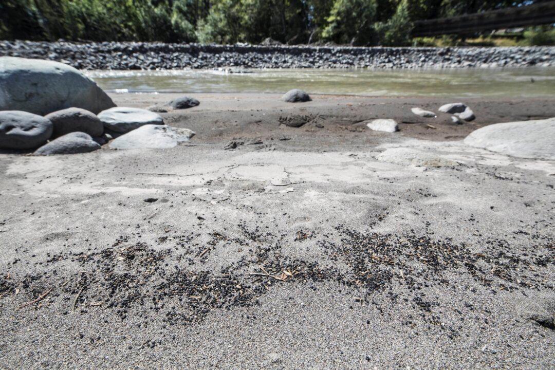 Dam Owner Guilty in Field Turf Pollution of Washington River