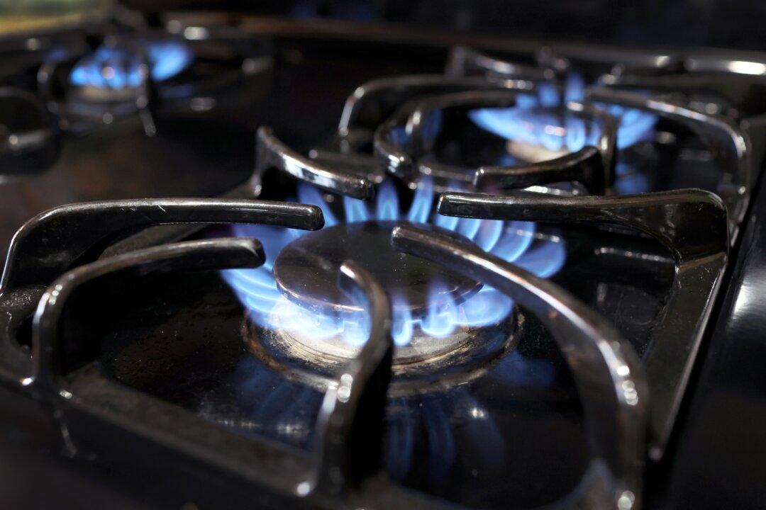 Lawmaker Questions Top Official Over Proposed Gas Stove Ban, Cost to Move to Electric