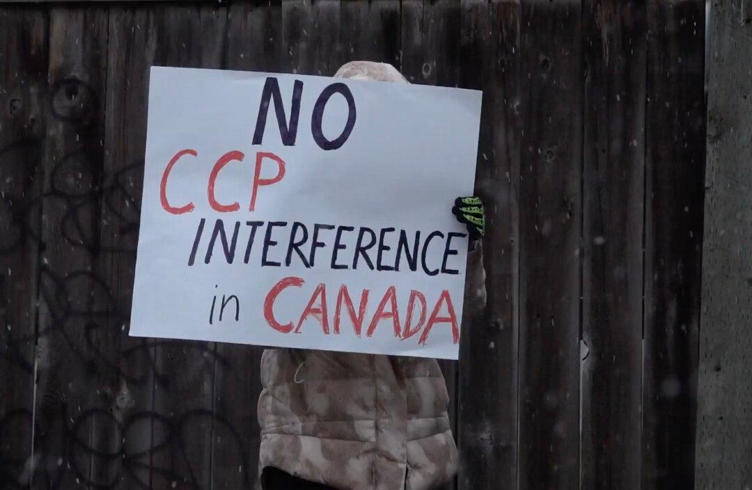 ‘Special Rapporteur’ Plan Amounts to Yet More Smoke and Mirrors