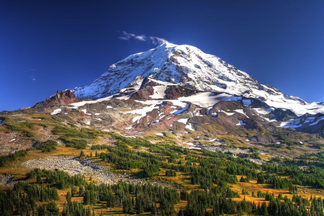 Move Over, Everest Climbers. The Rarest Peaks to Scale May Be in South Florida