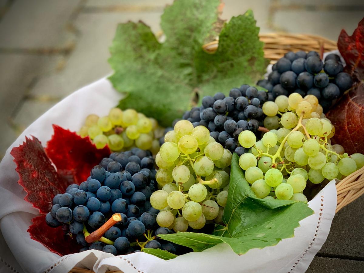 Rare Varietals