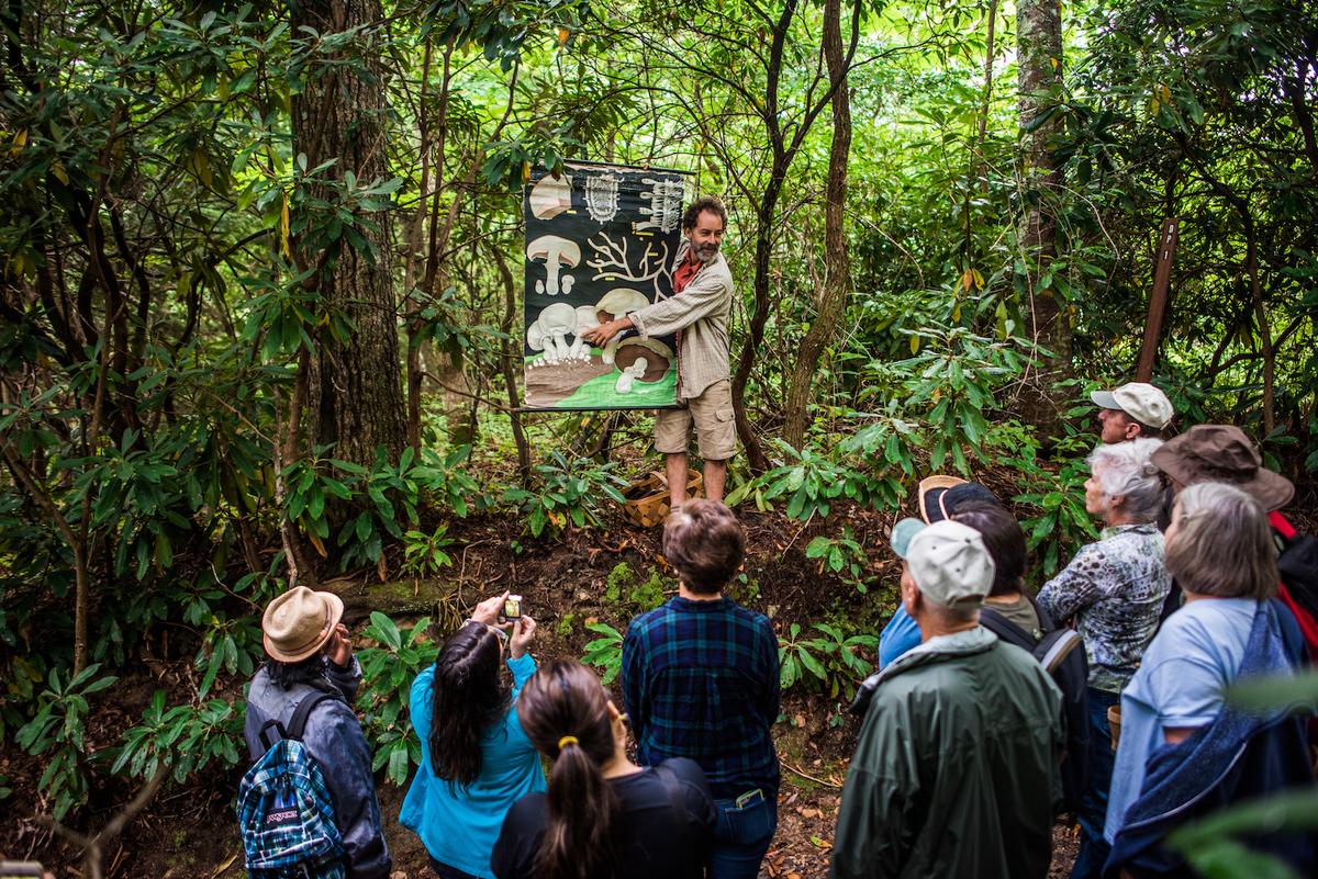 Alan Muskat pauses for a mushroom education break during a guided foraging tour with his company, <a href="https://notastelikehome.org/">No Taste Like Home</a>. (Mike Belleme)