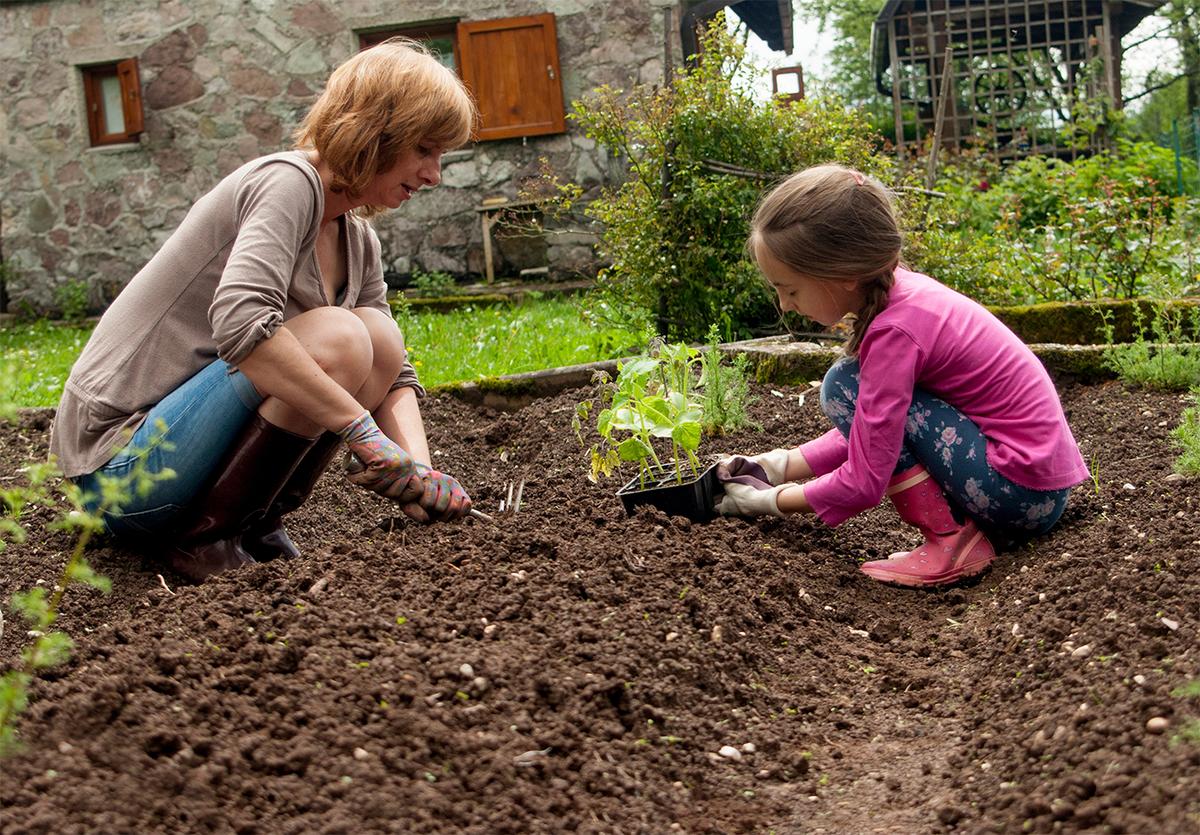 Repurposing a section of otherwise unused lawn for a home garden is an easy way to start producing crops. (CasarsaGuru/Getty Images)