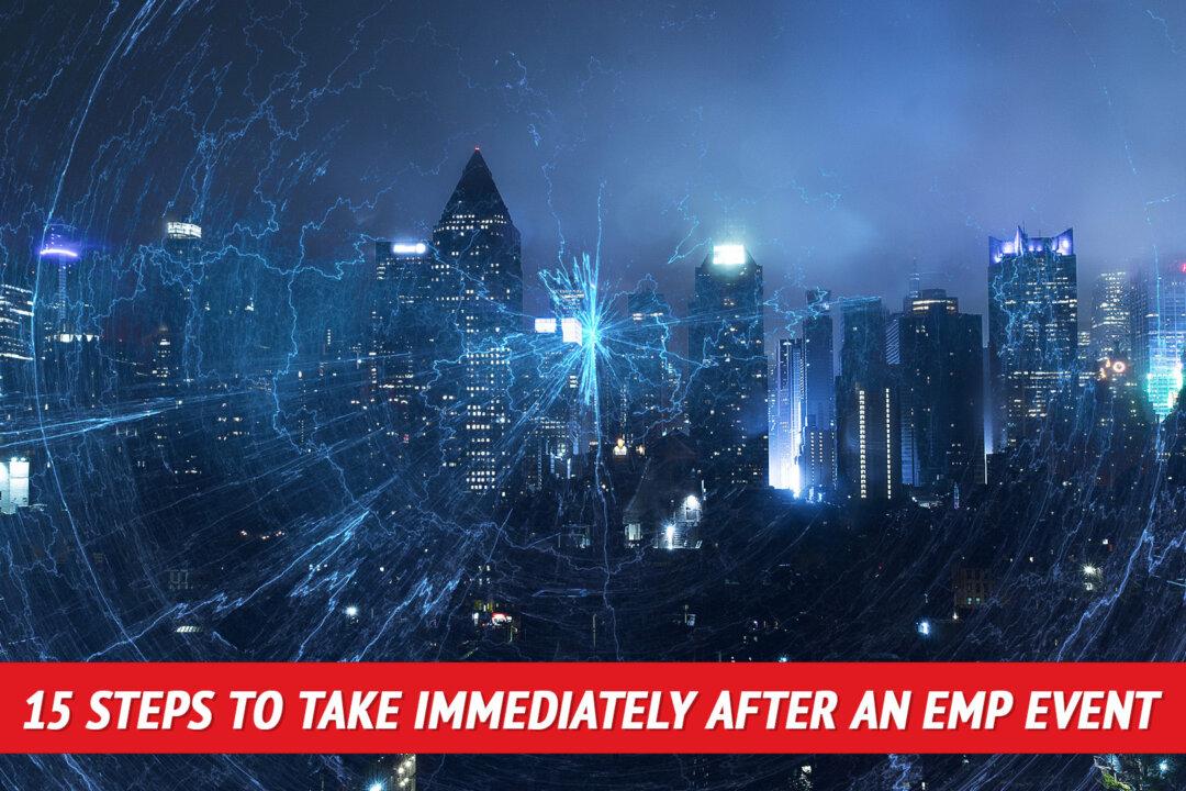 15 Steps to Take Immediately After an EMP Event